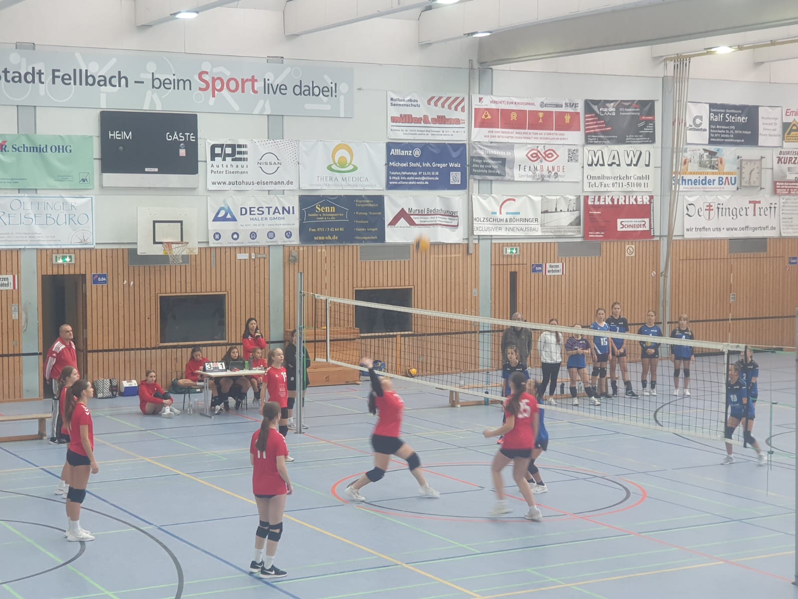 Jugend U16 weiblich Saison 2024/2025