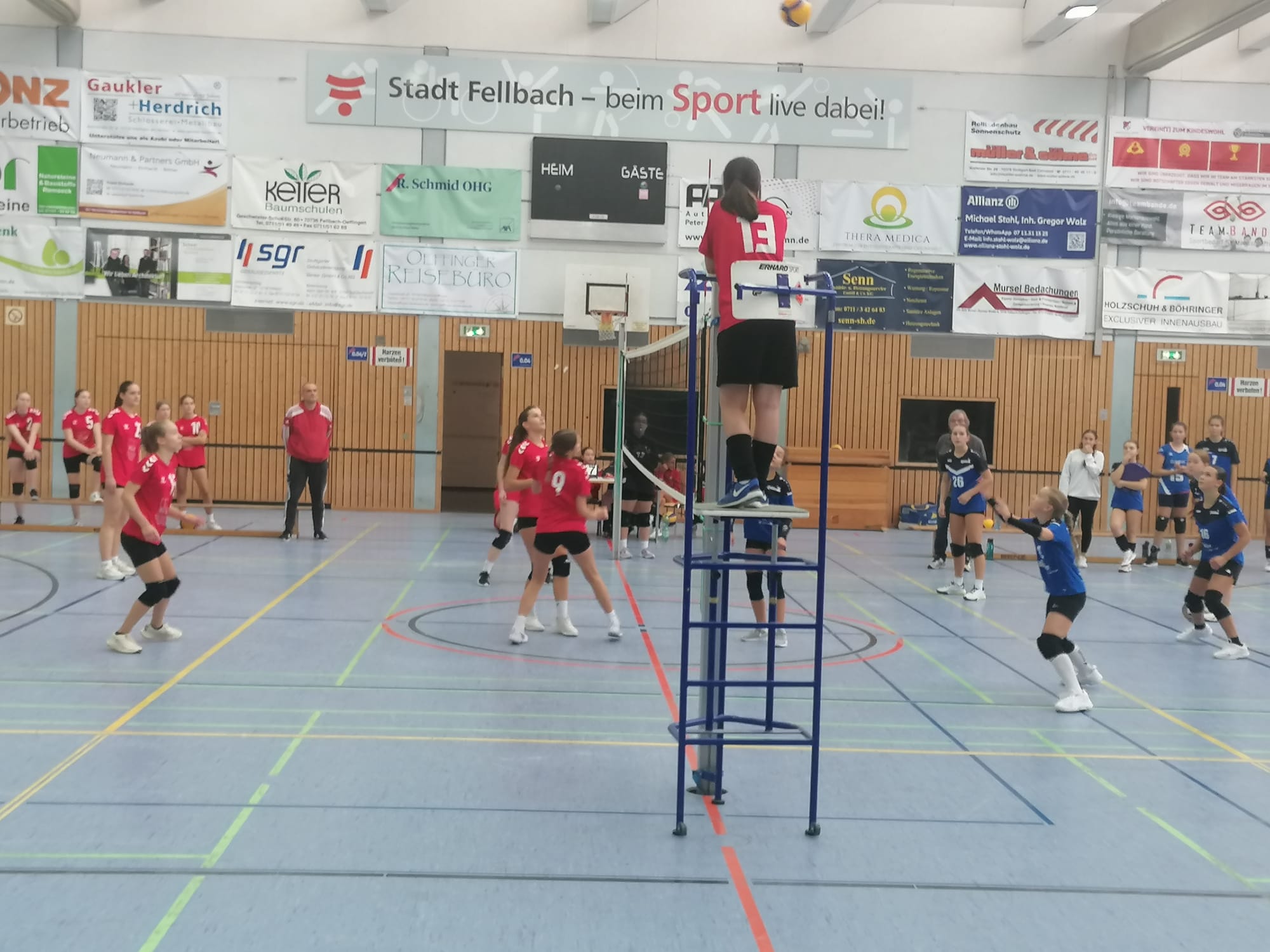 Jugend U16 weiblich Saison 2024/2025