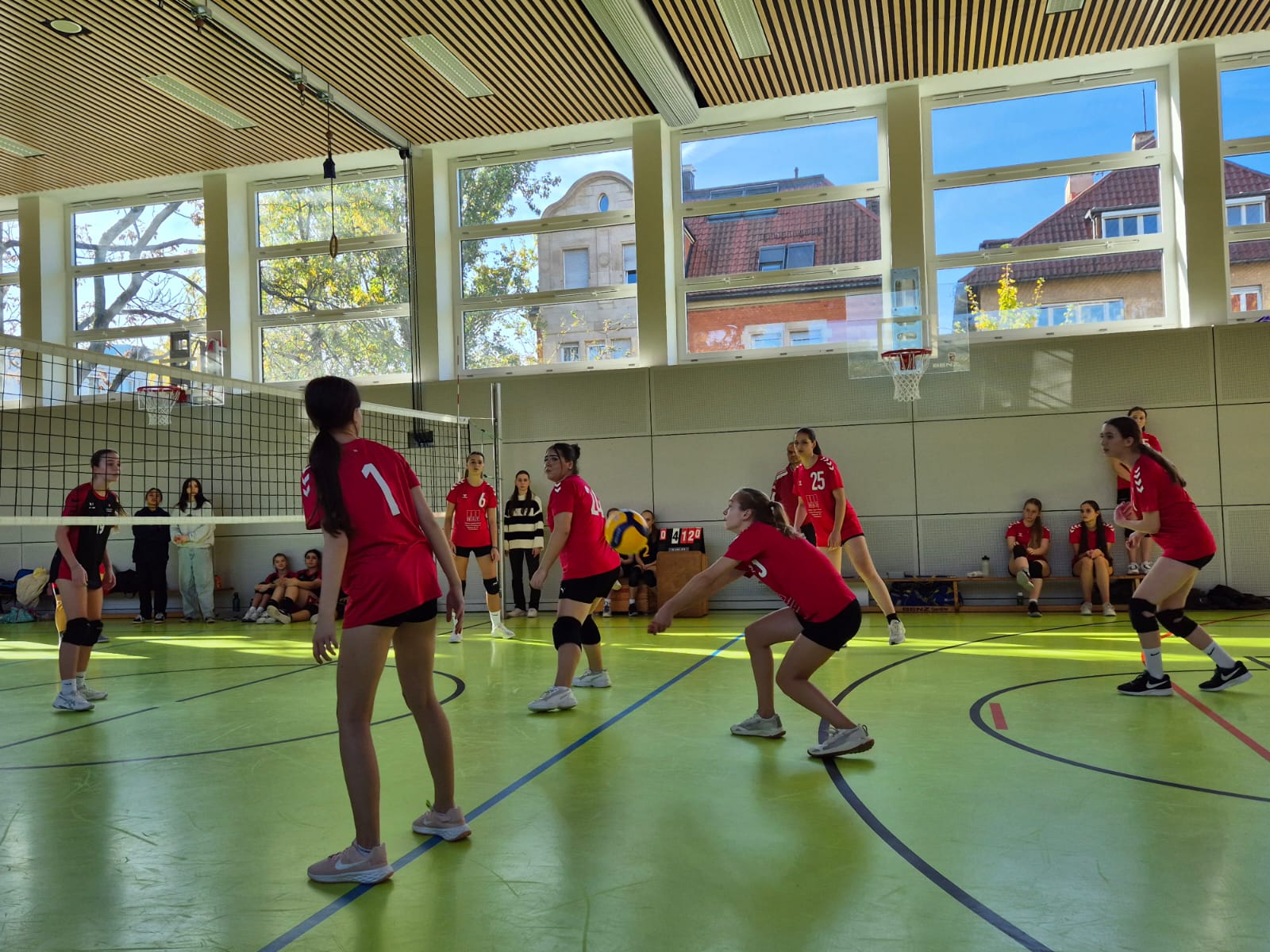 Jugend U16 weiblich Saison 2024/2025