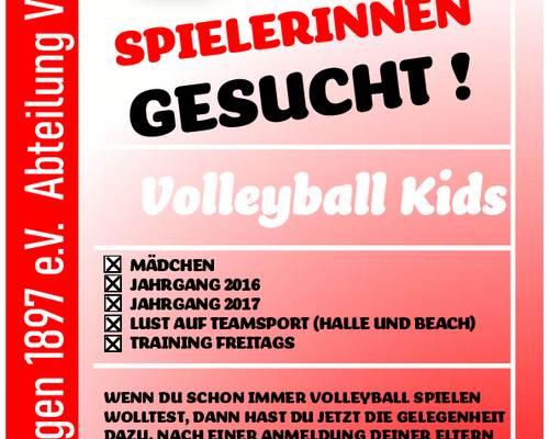Volleyball Kids