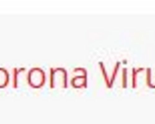 Corona Virus - Aussetzung Trainingsbetrieb